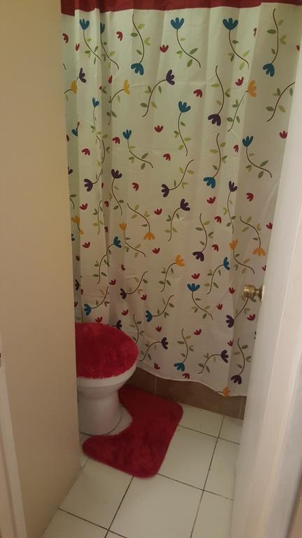 Comfortable Suite 1 キングストン エクステリア 写真